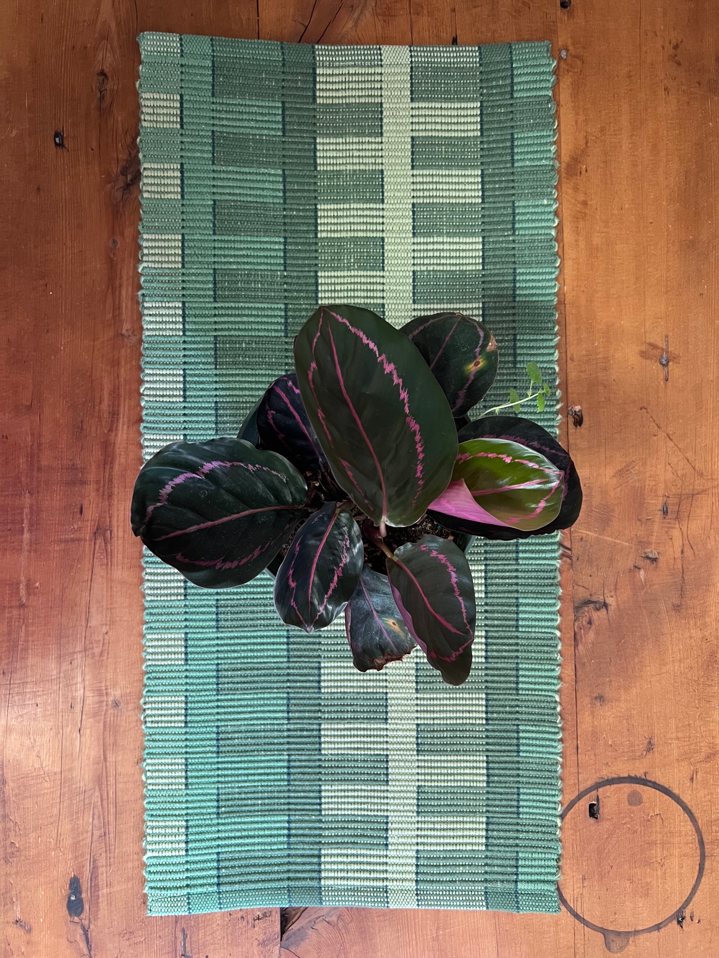 Cotton Table Runner • Green Grass