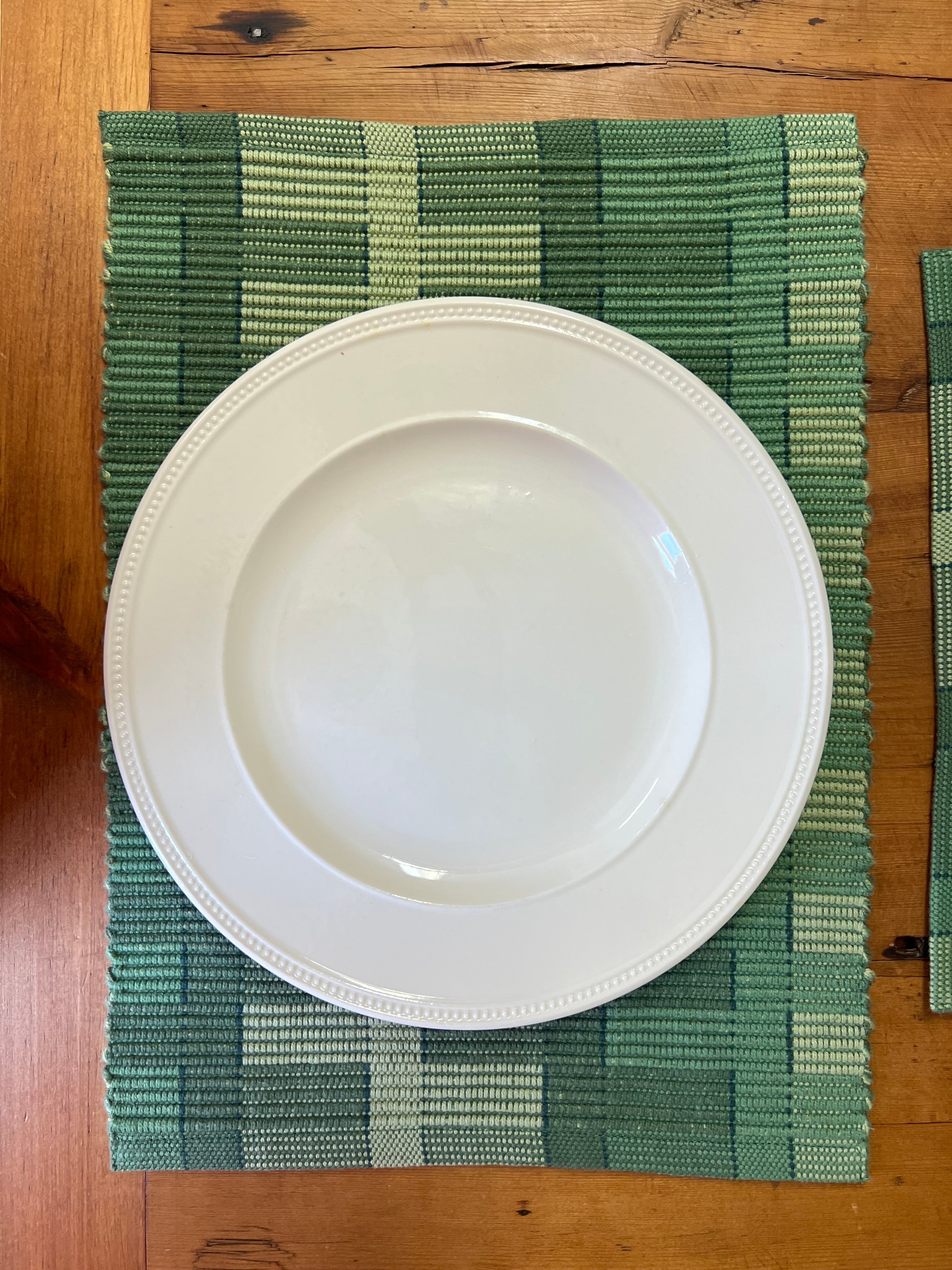 Woven Placemat • Green Grass