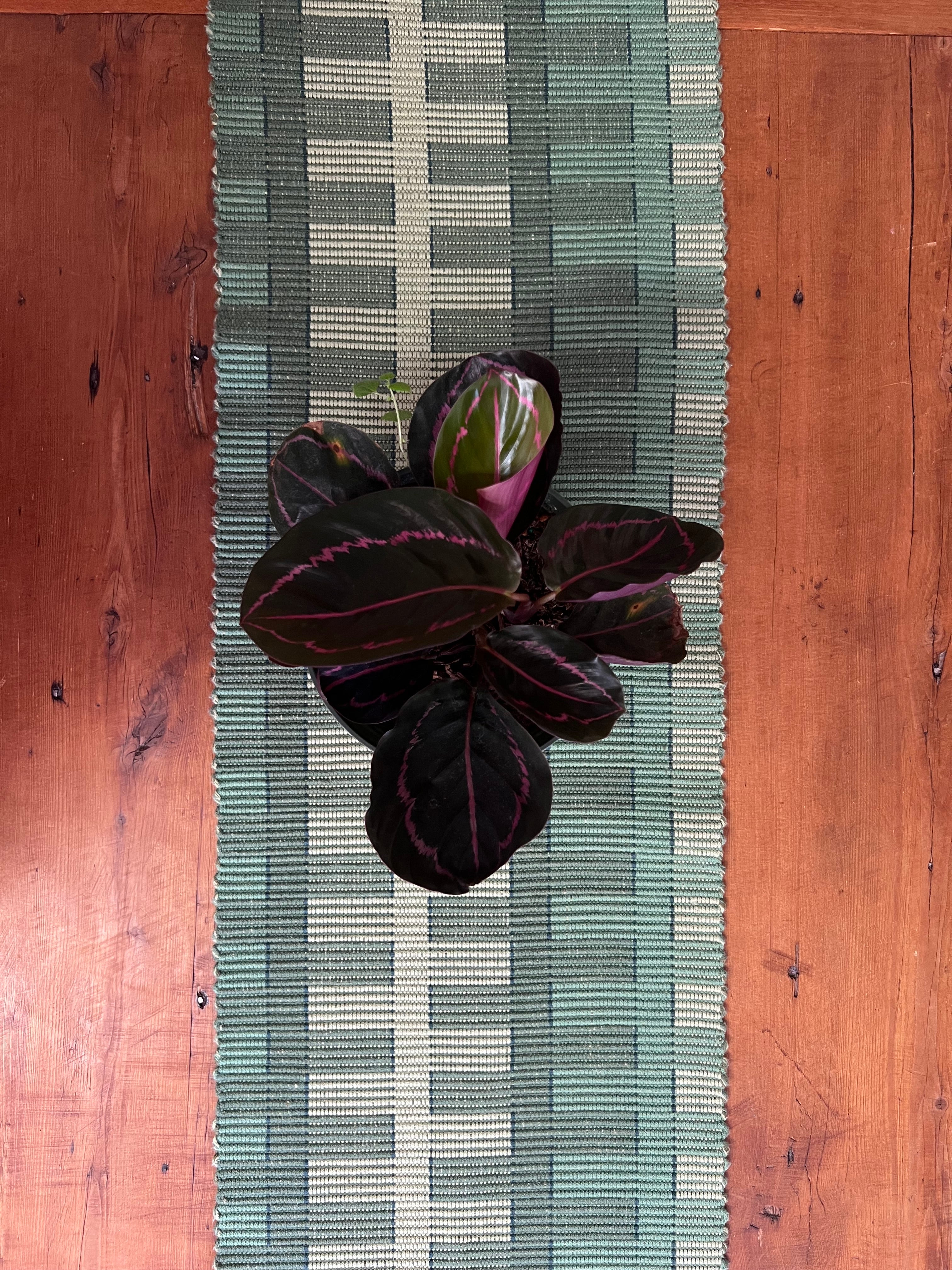 Cotton Table Runner • Green Grass