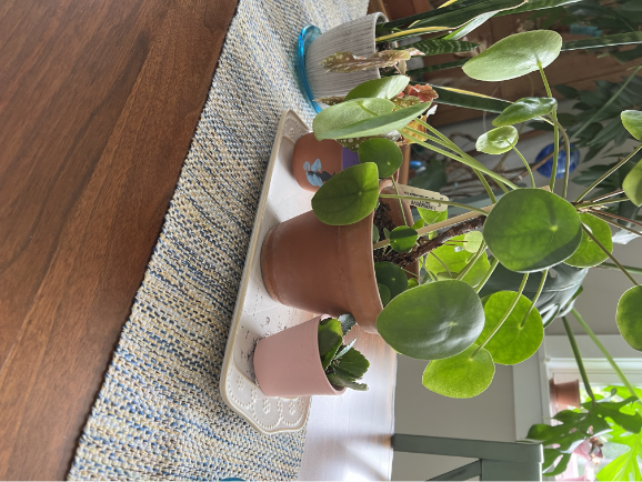 Cabin in the Woods Table Runner