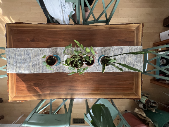 Cabin in the Woods Table Runner