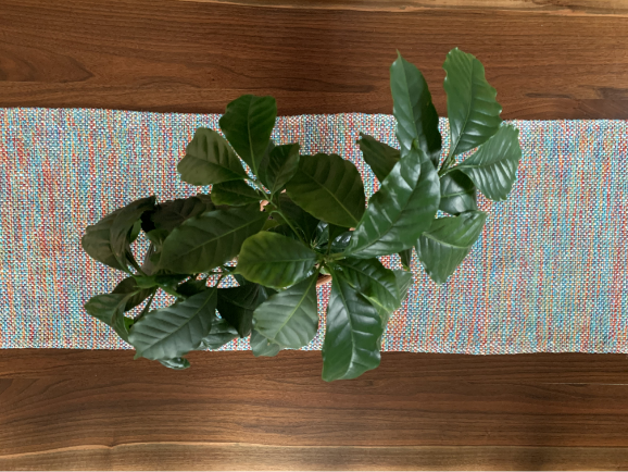 Talavera Table Runner